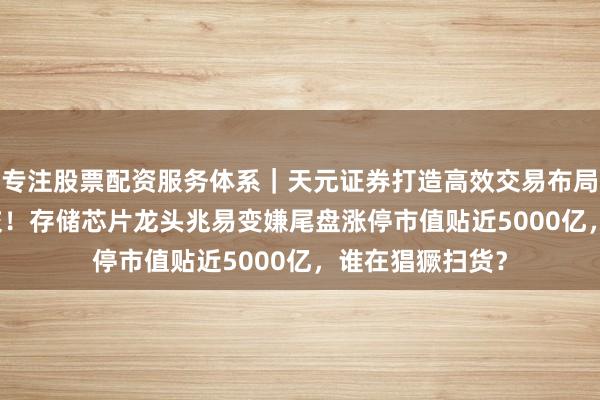 专注股票配资服务体系｜天元证券打造高效交易布局方案 399亿成交！存储芯片龙头兆易变嫌尾盘涨停市值贴近5000亿，谁在猖獗扫货？