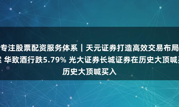 专注股票配资服务体系｜天元证券打造高效交易布局方案 华致酒行跌5.79% 光大证券长城证券在历史大顶喊买入