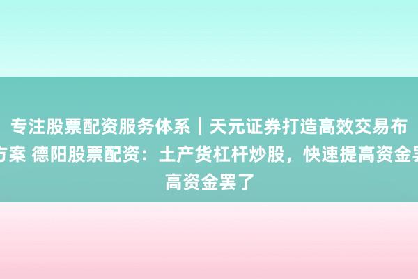 专注股票配资服务体系｜天元证券打造高效交易布局方案 德阳股票配资：土产货杠杆炒股，快速提高资金罢了