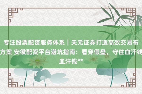 专注股票配资服务体系｜天元证券打造高效交易布局方案 安徽配资平台避坑指南：看穿假盘，守住血汗钱**