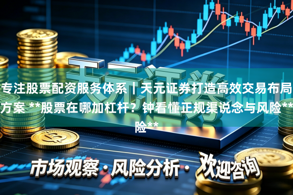 专注股票配资服务体系｜天元证券打造高效交易布局方案 **股票在哪加杠杆？钟看懂正规渠说念与风险**